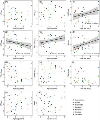Canopy Leaf Traits, Basal Area, and Age Predict Functional Patterns of Regenerating Communities in Secondary Subtropical Forests